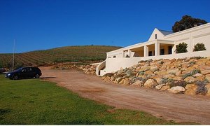 Music from the Mvies at Raka Wine Estate